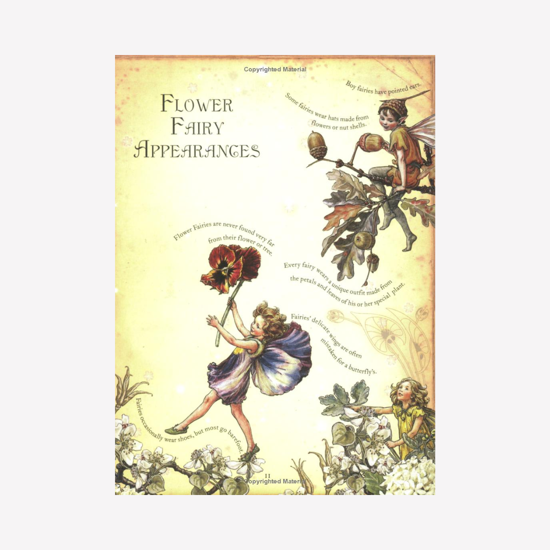 Asa様 オーダー ジャーナルブック　Flower Fairies The Girls Book Of Flower Fairies – The Acorn Store