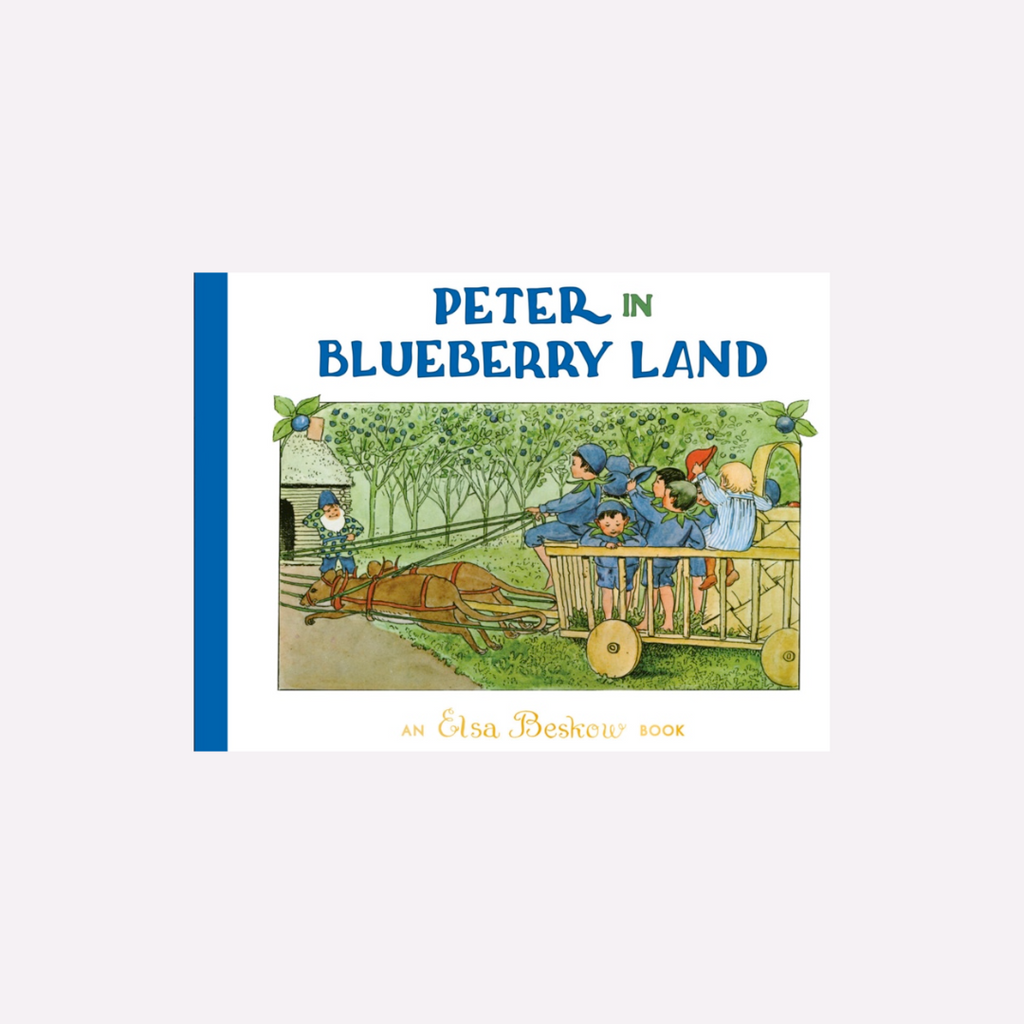 Peter in Blueberry Land - Steiner Books - The Acorn Store - 