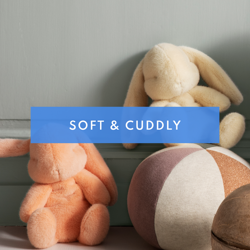 Acorn 2024 toy store