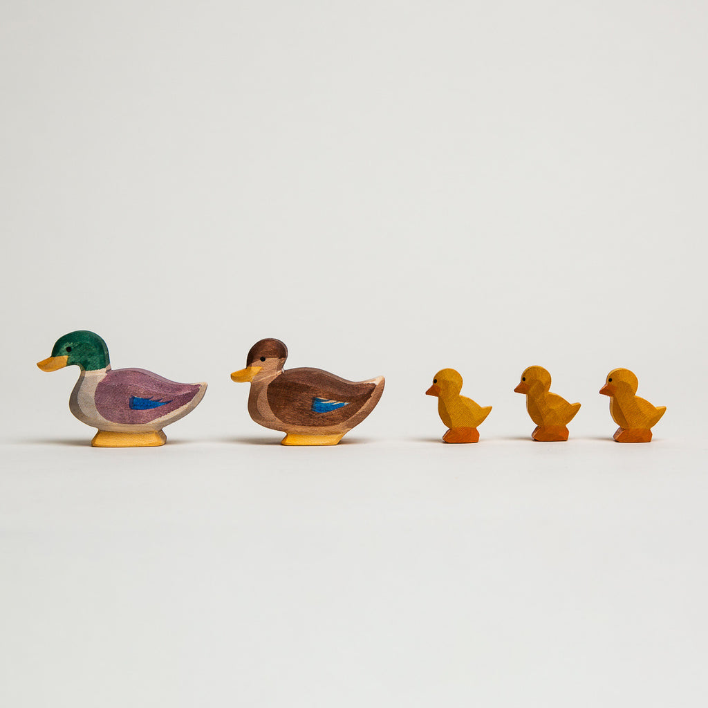 Duck Sitting - Ostheimer Wooden Toys - The Acorn Store - Décor