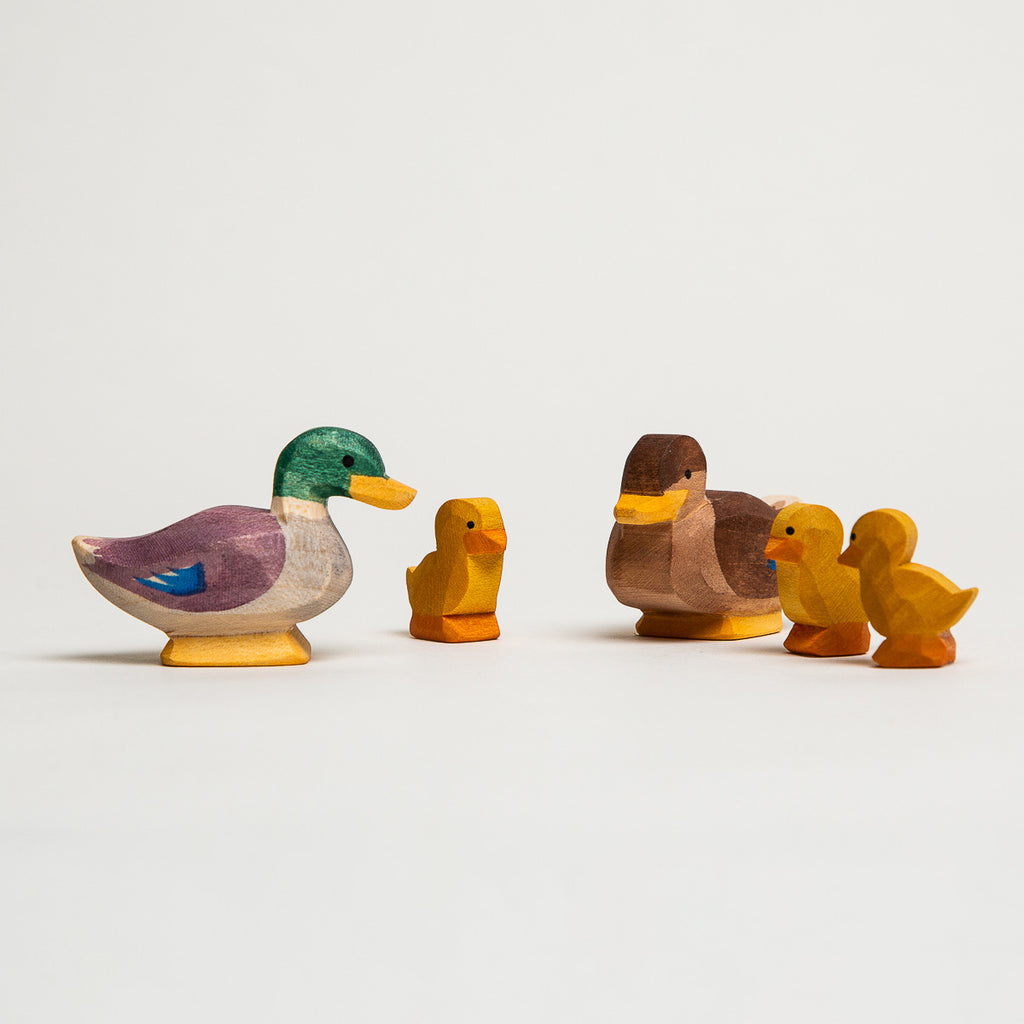 Duck Sitting - Ostheimer Wooden Toys - The Acorn Store - Décor